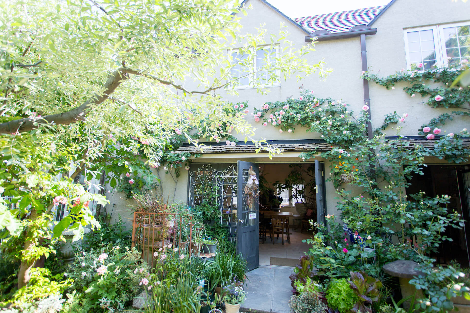 NAVEL GREEN - garden & flower design